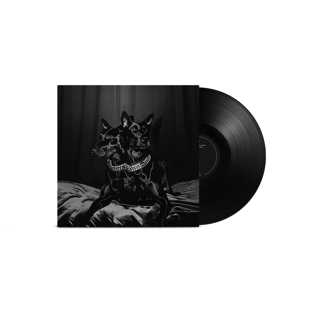 FOREVER FRIENDS - VINYLE